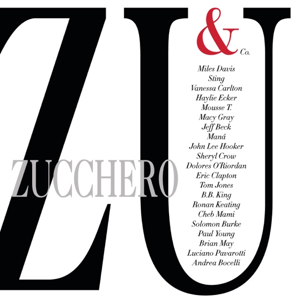 Cover zu Zucchero & Paul Young – Senza Una Donna (Without A Woman)