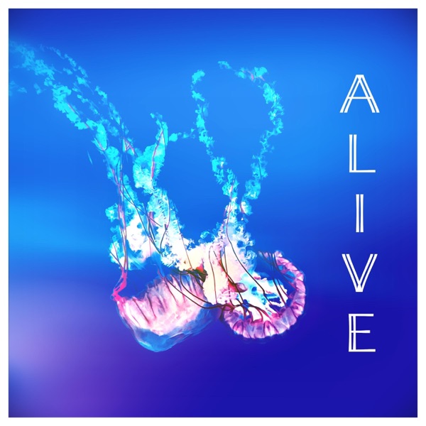 Cover zu Schartel – Alive