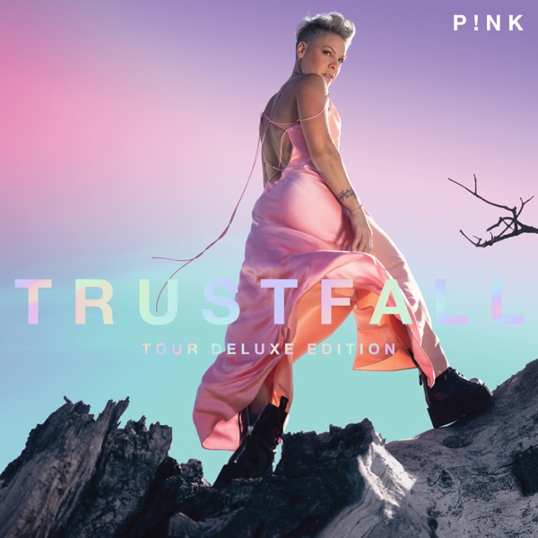 Cover zu P!nk – Trustfall