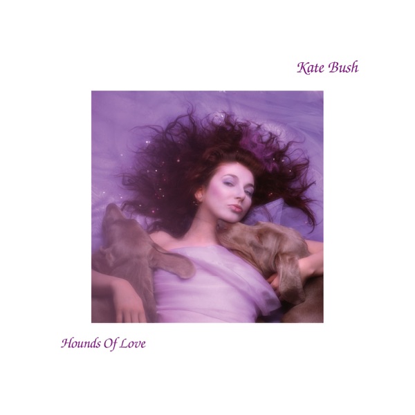 Cover zu Kate Bush – Running Up That Hill