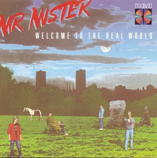 Cover zu Mr. Mister – Broken Wings