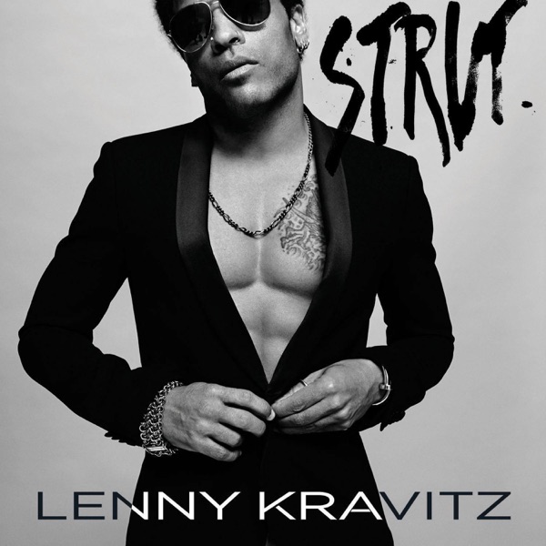 Cover zu Lenny Kravitz – The Chamber