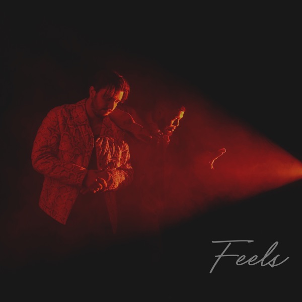 Cover zu Calvin Harris Featuring Pharrell Williams, Katy Perry & Big Sean – Feels
