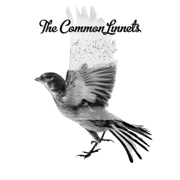 Cover zu The Common Linnets – Calm After The Storm