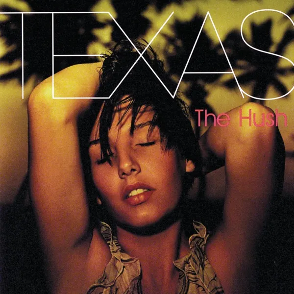 Cover zu Texas – Summer Son