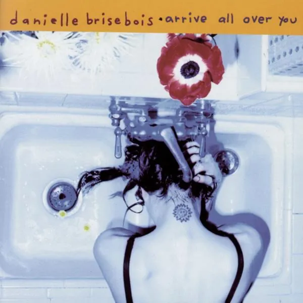 Cover zu Danielle Brisebois – Gimme Little Sign
