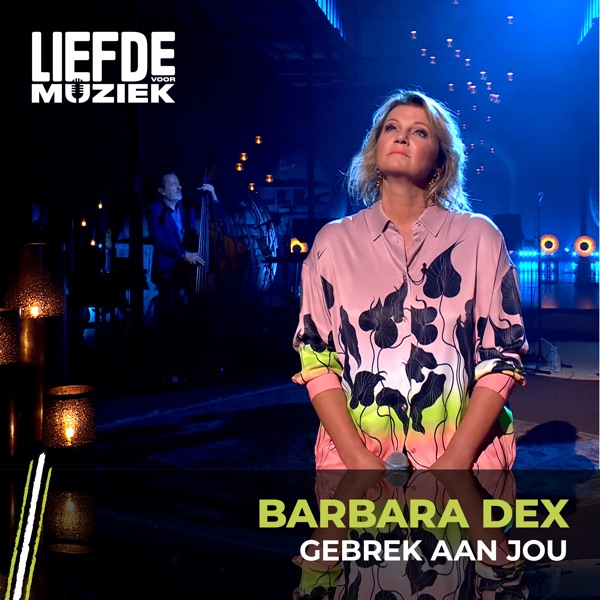 Cover zu Barbara Dex – Need You To Lie
