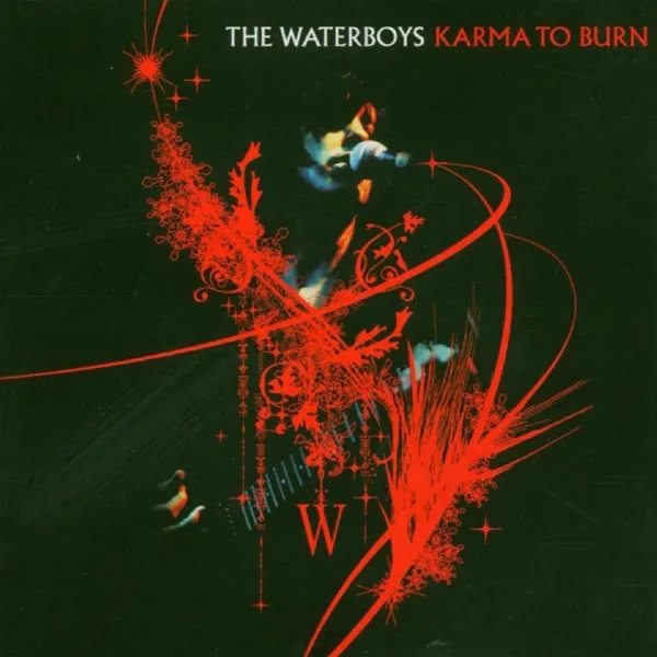 Cover zu The Waterboys – The Whole Of The Moon
