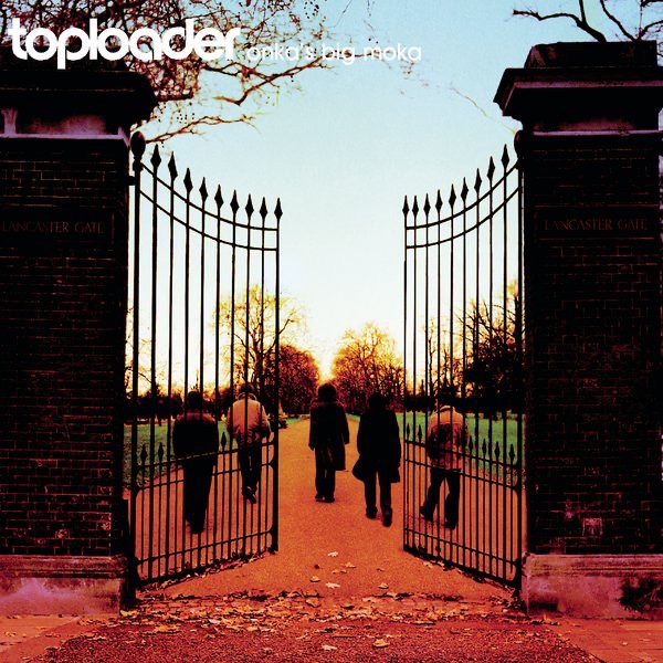 Cover zu Toploader – Dancing In The Moonlight