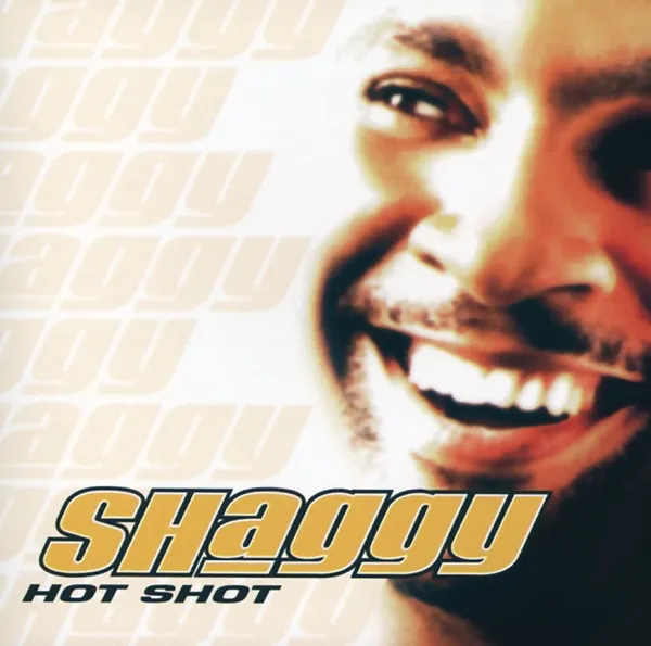 Cover zu Shaggy feat. RikRok – It Wasn't Me