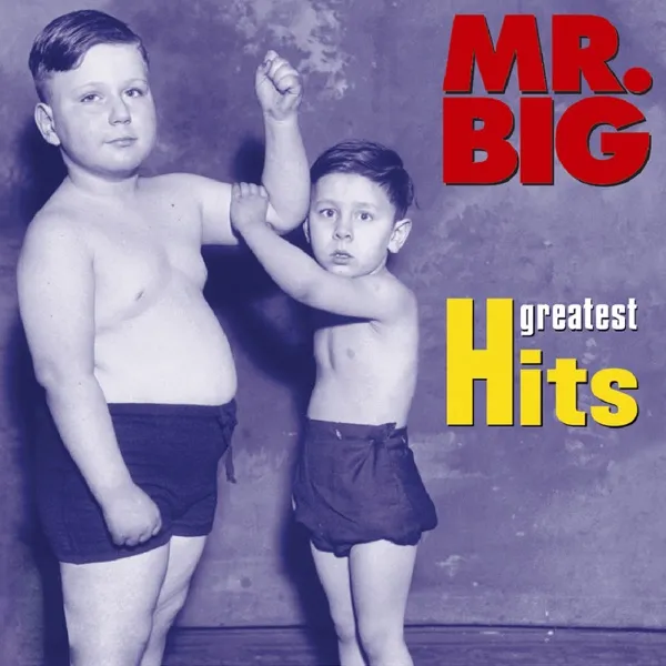 Cover zu Mr. Big – Wild World