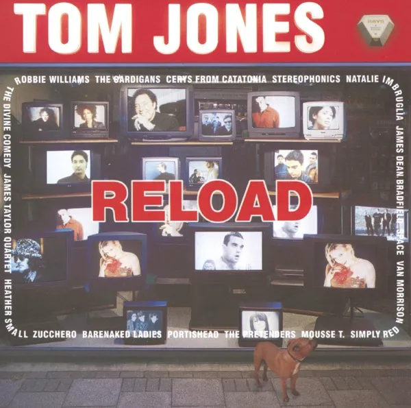 Cover zu Tom Jones feat. The Cardigans – Burning Down The House
