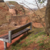 Bäume auf dem Schlossberg abgehackt und beschädigt