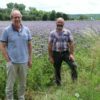 Auf rund 1,3 Hektar Land: Bienenweise in den Beaumaraiser Wiesen angelegt