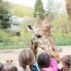 Kinderfest im Neunkircher Zoo