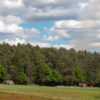 Neunkirchen-Kohlhof: Großer Waldbrand auf dem Hirschberg!