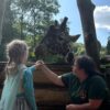 Dreamnight im Zoo: Kostenloser Eintritt für beeinträchtigte Kinder