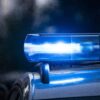 Ein besonderer Einsatz in St. Wendel: Blaulichttag im Wendelinuspark