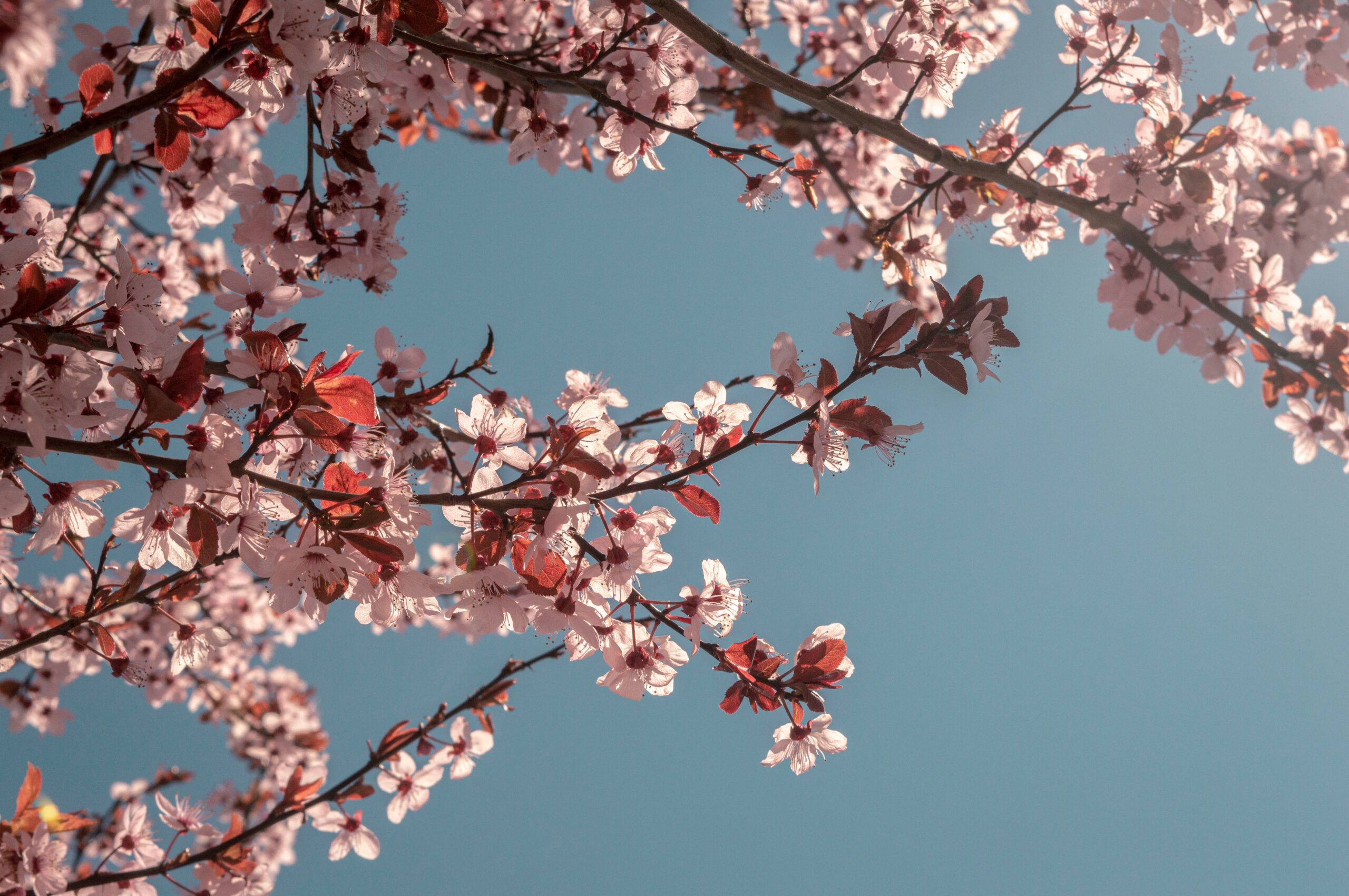 Hintergrund
