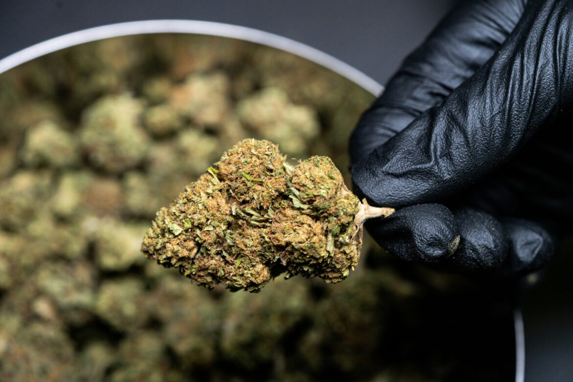 Cannabis Therapie IKK