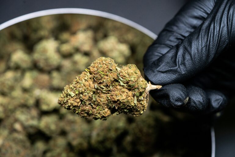 Cannabis Therapie IKK