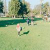 Familien und Kinderfest in Homburg: 25 Jahre Spaß im Stadtpark