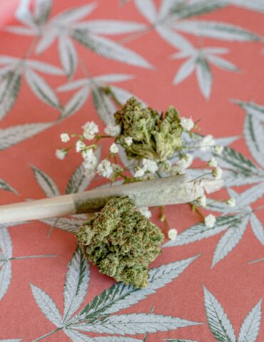 Uniklinik Homburg Cannabis Streit
